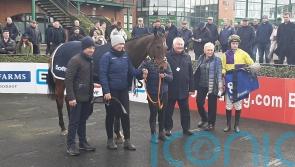 Joyeux Machin lined up for Leopardstown test