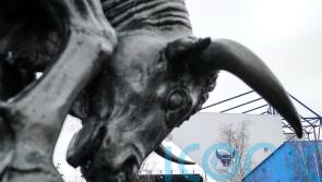 Oxford deny table-topping Bolton ninth straight win in goalless draw