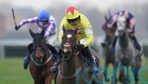 Nicholls &lsquo;thrilled&rsquo; with Hermes Allen chasing debut
