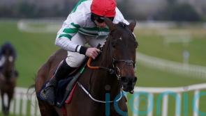 Firefox thrills Elliott in Fairyhouse victory