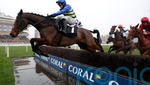 Inch House picks up Sir Peter O&rsquo;Sullevan prize for O&rsquo;Neill