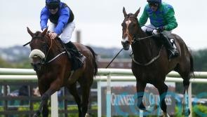 Fahey eyeing Festival handicaps with The Big Doyen