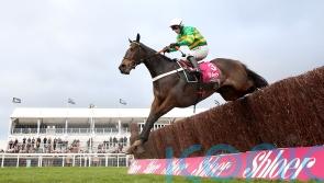 Jonbon &lsquo;older and stronger&rsquo; for ground challenge at Sandown