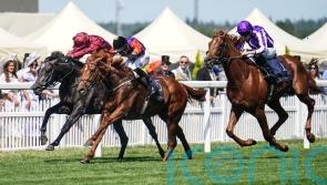 Australian adventure could come under consideration for Desert Hero