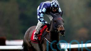 Bob boosts future prospects with Sandown success