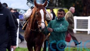 Not So Sleepy fighting fit after Sandown heroics