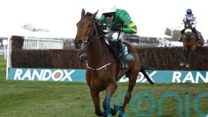 Fakir D&rsquo;oudairies heading to Cheltenham on Saturday