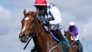 Plenty of options coming up for Banbridge return