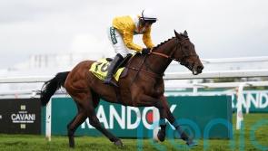 Apple Away up and running over fences with Leicester success