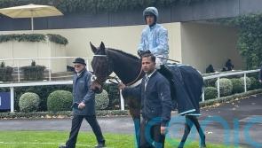 Doddiethegreat primed for Cheltenham charity mission