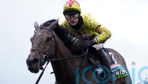 Protektorat seeks confidence boost in lesser company