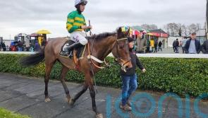 Harvard Guy proves top of the class in Tara Hurdle