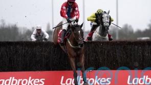 Editeur Du Gite blossoms once more in Desert Orchid