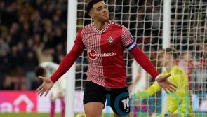 Che Adams on target as Southampton beat Plymouth in Championship