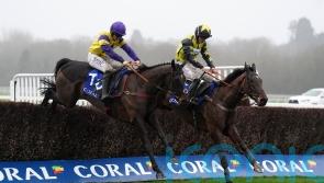 Surrey Quest the ace in Mandarin pack