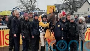Jungle rocks for New Year&rsquo;s Day honours at Tramore