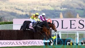 Galopin Des Champs tops 20 Gold Cup contenders