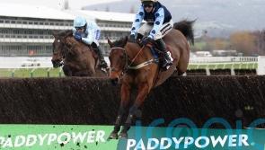 Cannon backing Edwardstone to shine over longer trip