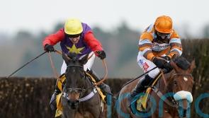 Dashel Drasher could take on Shishkin and Bravemansgame before Cheltenham