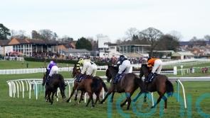 Hereford and Punchestown pass morning inspections