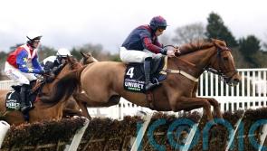 Next outing for Colonel Harry likely to decided Festival target