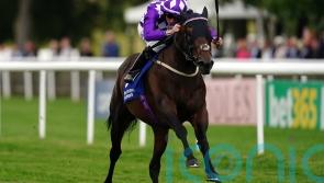 Shaquille showing his gentle side at stud &ndash; Camacho