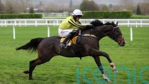 Burdett Road will be considered for run against older horses