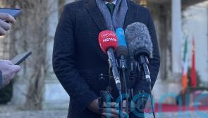 Councils cannot have &lsquo;a la carte&rsquo; relationship with government &ndash; Varadkar