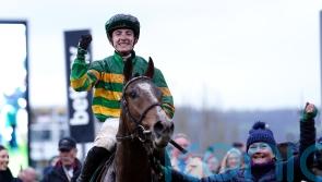 A Dream To Share booked to reappear in Leopardstown bumper