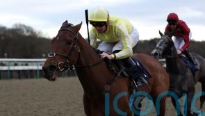 Oh So Grand for Crisfords with back-to-back wins in Winter Oaks