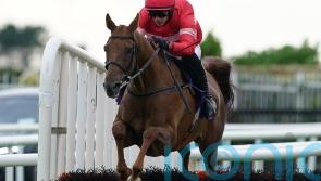High Class Hero extends unbeaten record
