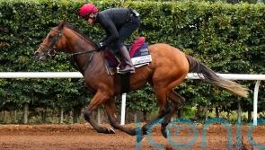 City Of Troy doing everything right &ndash; and expected to go the distance