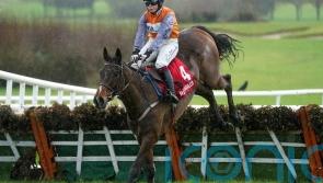 Facile success for Captain Cody on hurdles debut