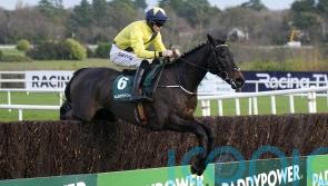 Marine Nationale thriving ahead of Irish Arkle assignment
