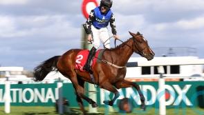 Diamond sparkles in Yorkshire Rose heat