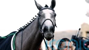 Lossiemouth makes impressive Cheltenham comeback