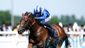 First foal of brilliant Baaeed born in France