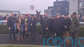 Embassy Gardens puts strong case for Cheltenham honours