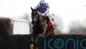 Il Est Francais camp going cold on Cheltenham trip