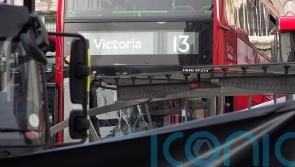 Family tribute after woman killed in central London bus crash