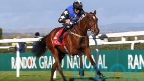 Ashroe Diamond on course to sparkle at Cheltenham
