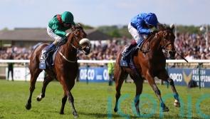 Mawj may have Stateside spin after Meydan blip