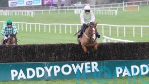 Faugheen sent his army of fans wild at Dublin Racing Festival