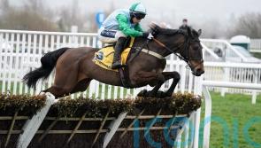 Snowden confirms Mares&rsquo; Hurdle date for You Wear It Well