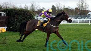 Moore happy to keep faith with Noonan on Le Patron