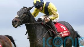 Marine Nationale primed for Irish Arkle duty