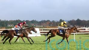 Dancing City springs surprise in DRF opener