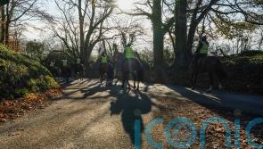 Keagan Kirkby, point-to-point rider and Paul Nicholls team member, dies in fall