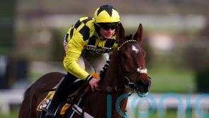 Henderson still able to sleep easy over Sir Gino