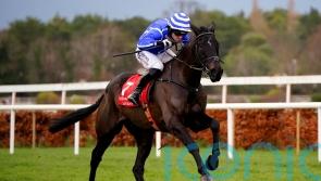 Baring Bingham looking favoured test for Ile Atlantique